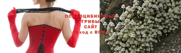 спиды Алексеевка