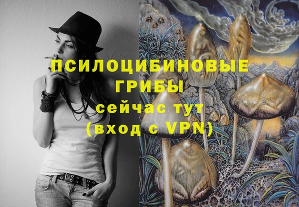 герыч Алзамай