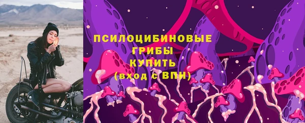 спиды Алексеевка