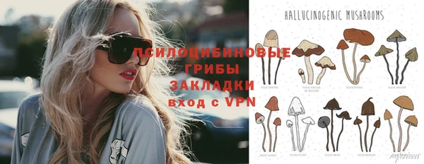 герыч Алзамай